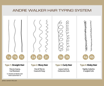 Diagram of the Andre Walker Hair Typing System
